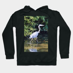 Heron Hoodie